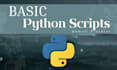 help with basic python projects and scripts