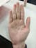 provide a detailed palm reading and personality analysis