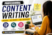 write SEO friendly articles and blog posts