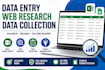 do accurate data entry, web research and data collection