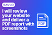 review your website and send a PDF report with screenshots