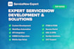 be your certified servicenow developer and do anything