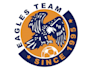 design fantastic eagles logo
