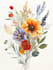 draw a botanical illustration