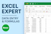 do excel data entry, formatting, formulas, and clean spreadsheets