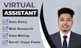 be your virtual assistant for data entry, web research, data mining, copy paste