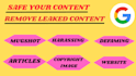 permanently remove mugshot,article,case,news from google under dmca