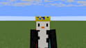 play minecraft java with you