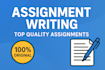 write reports essays and research summaries