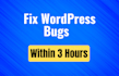 fix your wordpress website and critical errors in 3 hours
