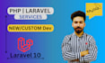develop and fix laravel web applications, apis, dashboards and custom systems