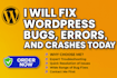 fix wordpress bugs, errors, and crashes today