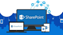 do sharepoint online and intranet setup, development and support