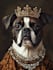 draw custom pet portrait or pet illustration