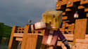 create minecraft animation for you