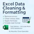 clean format and organize excel data professionally