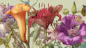 illustrate best botanical illustration