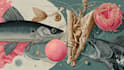 draw realistic scientific and wildlife illustrations