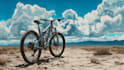 do cycle oil painting