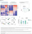 design scientific publication figures, conceptual diagrams