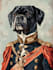 draw custom pet portrait or pet illustration