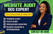do advanced website SEO audit,onpage google indexing wix, website analysis