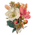 illustrate best botanical illustration