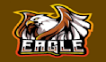 design professional eagle logo