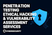 penetration testing, ethical hacking vulnerability assessment services