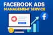 set up and manage high converting meta ads campaigns