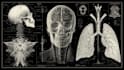 design medical and scientific illustration