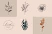 do unique botanical boho logo design