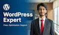 troubleshoot and resolve complex wordpress website errors