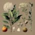 illustrate beautiful flat landscape illustration art