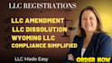 handle your llc amendment, dissolution, and state compliance updates