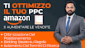 optimize amazon PPC using day parting and ai bidding strategies