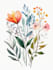 draw a botanical illustration