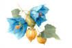paint a fascinating botanical illustration