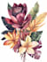 draw animal and botanical illustrations