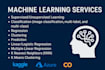 offer professional ml consulting and project implementation