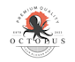 make an amazing octopus logo design