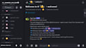 design professional aesthetic discord server