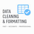 automotive data clean up