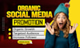 increase social media followers