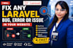 fix laravel bugs, errors, API or payment issues fast