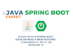 fix any java and spring boot issues and implement features