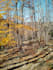 enhance your natural photos