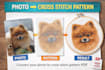 create cross stich pattern from your photo