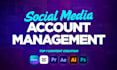 manage your social media accounts and content creation