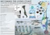 design architectural presentation board or concept layouts